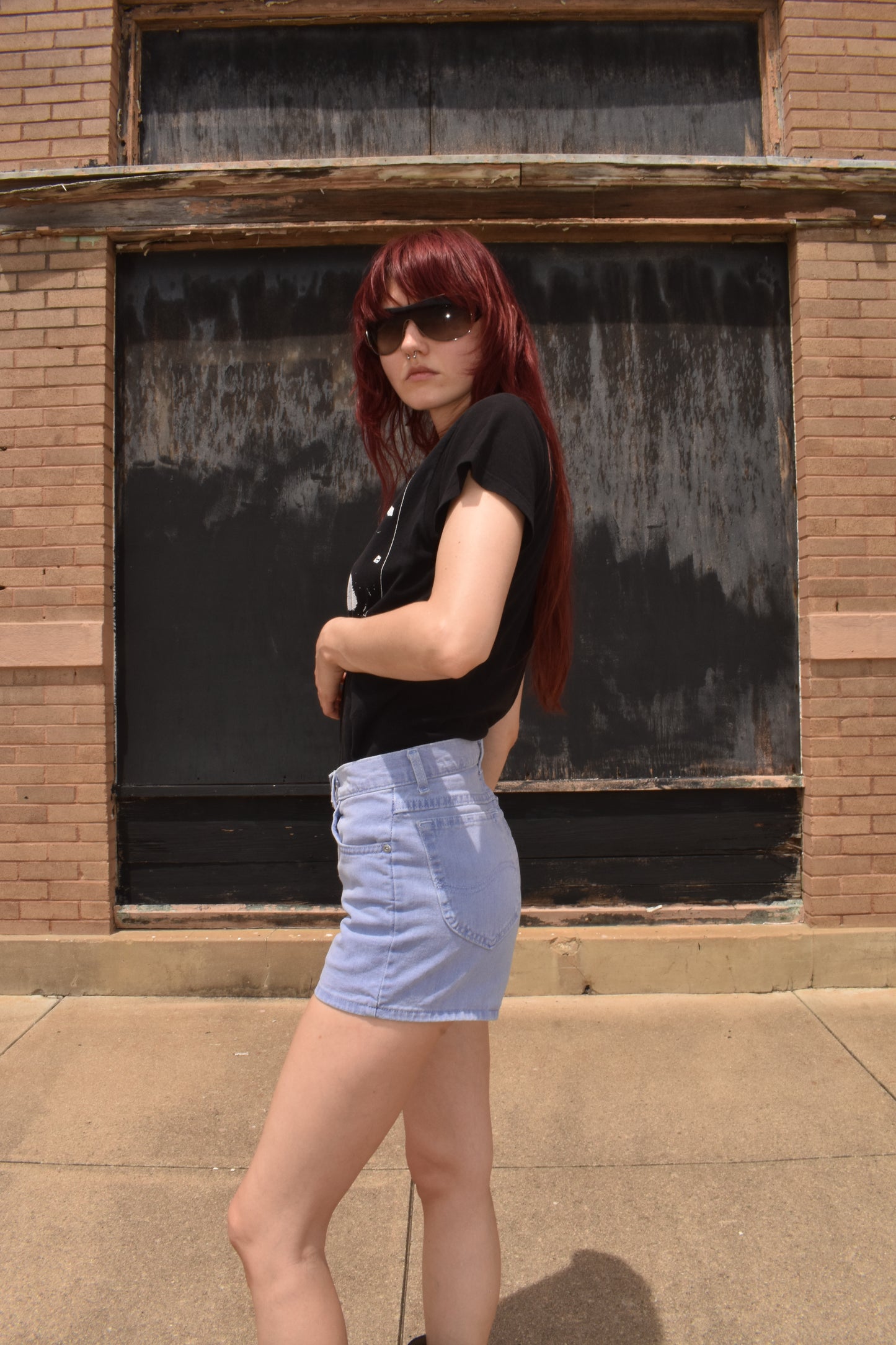 Vintage Lavender High Waisted Denim Shorts